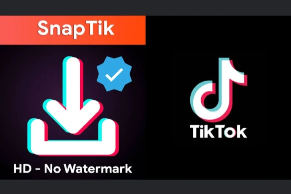 Snaptik Jadi Alat Andalan untuk Menyimpan Video TikTok